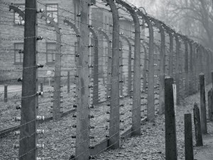 Endast 144 personer lyckades fly framgångsrikt från Auschwitz.