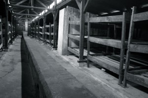 Togs man ut för att arbeta i Birkenau fick man dela en liten barack med brädväggar med 700 personer och träbrits med 5 medfångar.