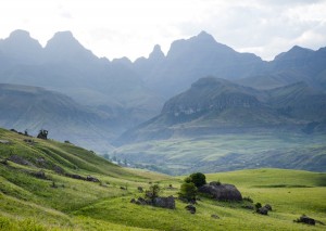 Drakensberg Park - gröna dalar och taggiga toppar.