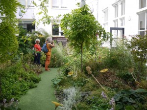 Droog i Amsterdam har både en häftig liten trädgård och läckra designgrejer.