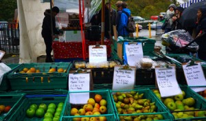 Var tidigt ute om du vill handla på Farmers Market.