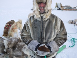 -32 grader är rena värmeböljan på Grönland under vintern. Med rejäla kläder är det dock inga problem att åka hundsläde.