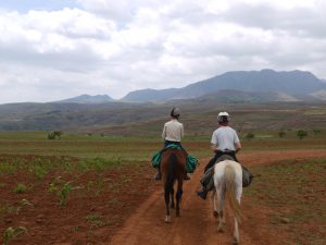 Bästa sättet att se det lilla bergslandet Lesotho är från hästryggen. 