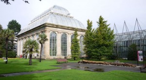 Även skottarna vet hur man ska bygga orangerier och växthus, det kan du se på Royal Botanical Garden.