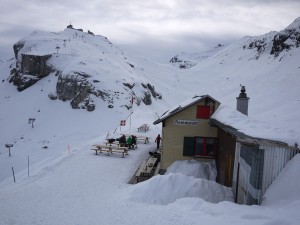 Schilthornhütte är ett favorithak för de vackra alpkråkorna. Högt uppe till vänster kan man skymta Birg.