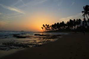 Solnedgång vid sandstrand med palmer i Galle i södra Sri Lanka.
